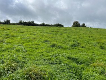 Terrains de loisirs bois etangs a vendre Reffuveille 50520 Manche 18240 m2  21800 euros