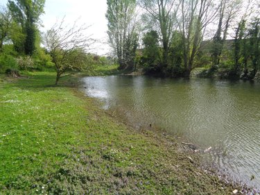 Terrains de loisirs bois etangs a vendre Annezin 62232 Pas-de-Calais 7918 m2  136500 euros