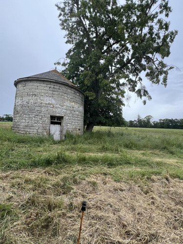 Maison a vendre Mégrit 22270 Côtes-d'Armor 561 m2  731190 euros