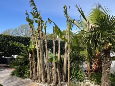 Maison a vendre Gouesnach 29950 Finistère 116 m2 6 pièces 479000 euros