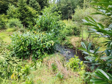 Terrains de loisirs bois etangs a vendre Pleyber-Christ 29410 Finistère 2080 m2  13000 euros