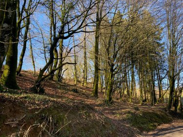 Terrains de loisirs bois etangs a vendre Chaulieu 50150 Manche 1100 m2  3000 euros