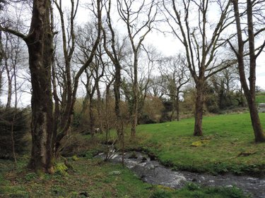 Maison a vendre La Chapelle-Neuve 22160 Côtes-d'Armor 39 m2  37700 euros