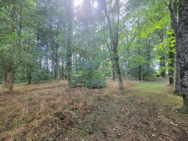 Maison a vendre Gourin 56110 Morbihan 120 m2 5 pièces 221020 euros