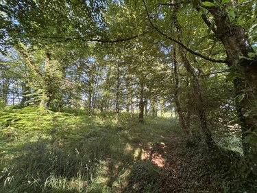 Terrains de loisirs bois etangs a vendre Plouay 56240 Morbihan 25540 m2  22000 euros