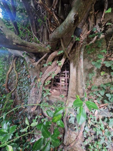 Maison a vendre Pontivy 56300 Morbihan 51 m2 3 pièces 99860 euros