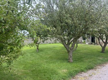 Maison a vendre Pommerit-Jaudy 22450 Côtes-d'Armor 142 m2  231000 euros