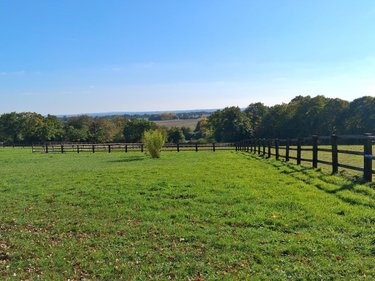 Maison a vendre Rives-d'Andaine 61140 Orne 570 m2 11 pièces 4300000 euros