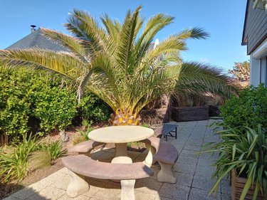 Maison a vendre Penmarch 29760 Finistère 60 m2  250000 euros