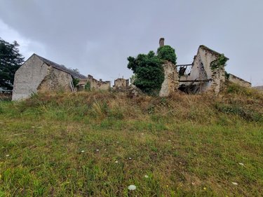 Maison a vendre Courtempierre 45490 Loiret 300 m2  55000 euros