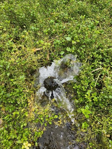 Terrains de loisirs bois etangs a vendre Lillers 62190 Pas-de-Calais 13467 m2  58000 euros