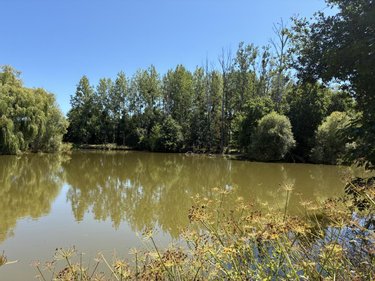 Terrains de loisirs bois etangs a vendre La Bazouge-des-Alleux 53470 Mayenne 45728 m2  120500 euros