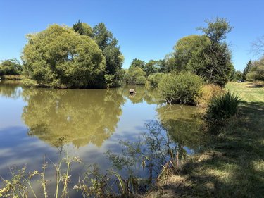 Terrains de loisirs bois etangs a vendre La Bazouge-des-Alleux 53470 Mayenne 45728 m2  120500 euros