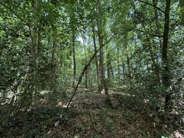 Divers a vendre Orbec 14290 Calvados 14560 m2  18970 euros