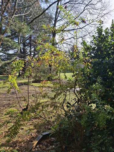 Appartement a vendre Larmor-Plage 56260 Morbihan 100 m2 5 pièces 358518 euros