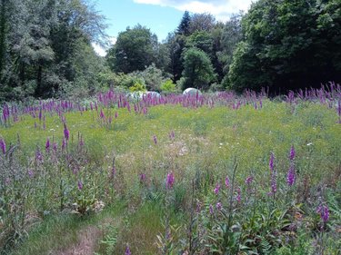 Terrains de loisirs bois etangs a vendre Le Faouët 56320 Morbihan 8980 m2  13600 euros