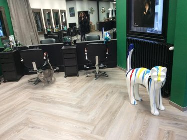 Fonds et murs commerciaux a vendre Vire-Normandie 14500 Calvados 72 m2  105930 euros