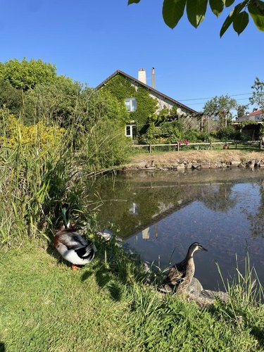 Maison a vendre Mazières-en-Mauges 49280 Maine-et-Loire 171 m2 8 pièces 344550 euros