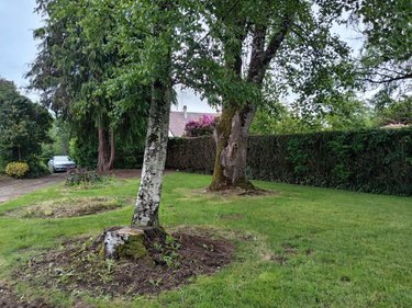Maison a vendre Les Loges-Marchis 50600 Manche 100 m2 5 pièces 157800 euros