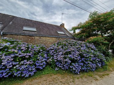 Maison a vendre Plumelec 56420 Morbihan 85 m2 4 pièces 182350 euros