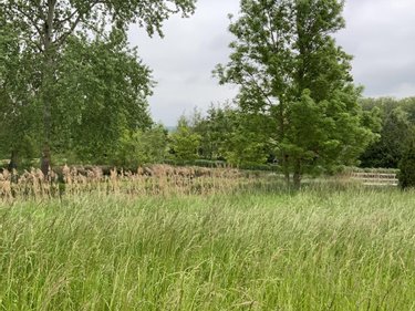 Terrain a batir a vendre Saint-Euphraise-et-Clairizet 51390 Marne 833 m2  110500 euros