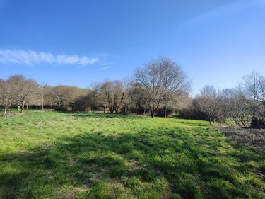 Maison a vendre Theix-Noyalo 56450 Morbihan 164 m2  410602 euros