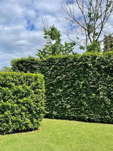 Maison a vendre Dol-de-Bretagne 35120 Ille-et-Vilaine 435 m2 10 pièces 1662400 euros