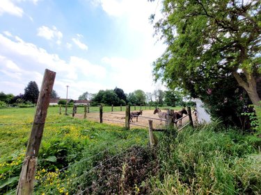 Maison a vendre Crépy 62310 Pas-de-Calais 110 m2 4 pièces 229420 euros