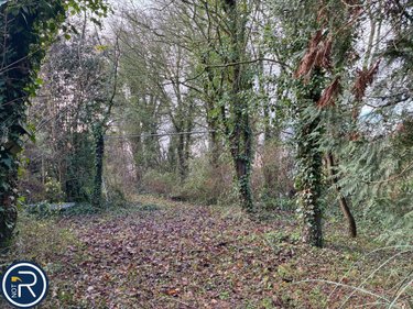 Maison a vendre Louverné 53950 Mayenne 124 m2 6 pièces 228800 euros