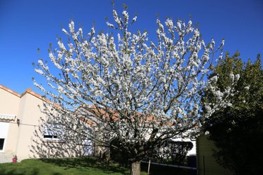 Maison a vendre La Séguinière 49280 Maine-et-Loire 140 m2 6 pièces 329025 euros