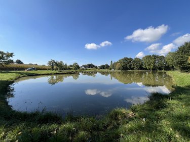 Terrains de loisirs bois etangs a vendre Caulnes 22350 Côtes-d'Armor 17094 m2  53490 euros