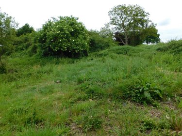 Terrains de loisirs bois etangs a vendre Morannes sur Sarthe-Daumeray 49640 Maine-et-Loire 7385 m2  29680 euros