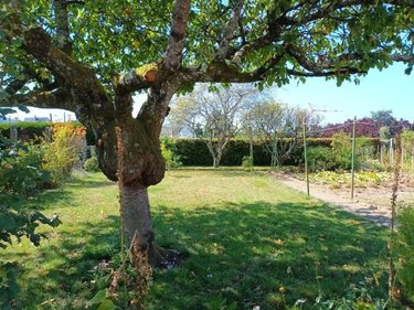 Maison a vendre Saint-Berthevin 53940 Mayenne 78 m2 5 pièces 157200 euros