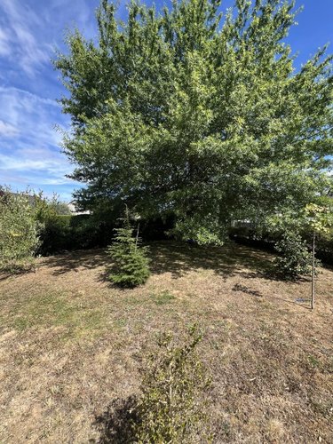 Location maison Saint-Georges-sur-Loire 49170 Maine-et-Loire 144 m2  950 euros