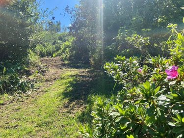 Terrain a batir a vendre Le Tampon 97430 Réunion 571 m2  107500 euros