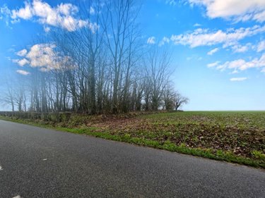 Terrains de loisirs bois etangs a vendre Tangry 62550 Pas-de-Calais 3260 m2  11200 euros