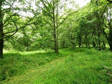 Maison a vendre Lignol 56160 Morbihan 90 m2 4 pièces 168450 euros