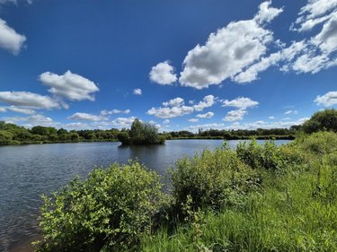 Terrains de loisirs bois etangs a vendre Saint-Marcel 56140 Morbihan 70164 m2  188910 euros
