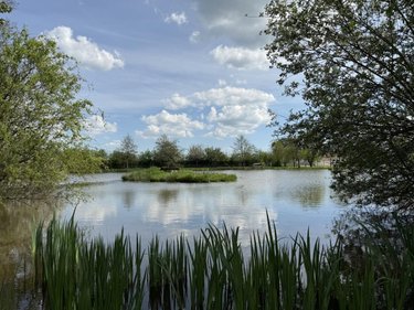 Terrains de loisirs bois etangs a vendre Beaupréau-en-Mauges 49600 Maine-et-Loire 10417 m2  63000 euros