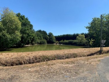 Divers a vendre Freigné 44540 Loire-Atlantique 671 m2  270400 euros