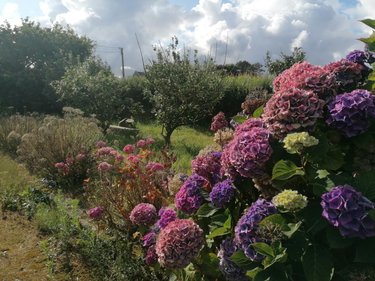 Maison a vendre Plouzévédé 29440 Finistère 87 m2 5 pièces 91175 euros