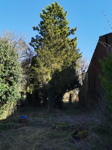 Maison a vendre Inchy-en-Artois 62860 Pas-de-Calais 91 m2 5 pièces 80500 euros
