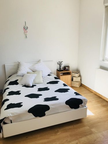 Location appartement Reims 51100 Marne 47 m2 2 pièces 550 euros