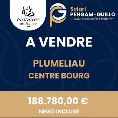 Maison a vendre Pluméliau-Bieuzy 56930 Morbihan 230 m2 10 pièces 188780 euros