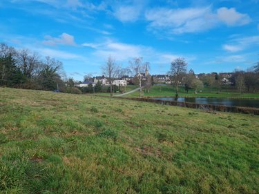 Terrain a batir a vendre Pleugriffet 56120 Morbihan 3740 m2  37400 euros