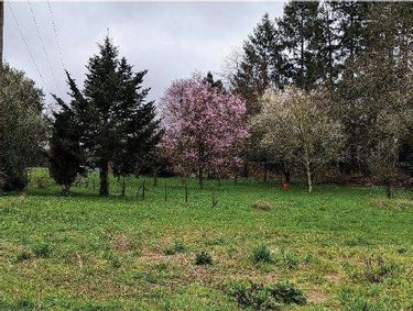 Terrain a batir a vendre Longuenée-en-Anjou 49770 Maine-et-Loire 655 m2  125760 euros