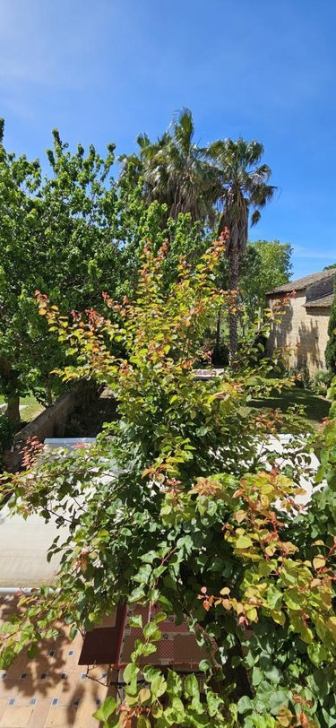 Maison a vendre Vergèze 30310 Gard 360 m2 9 pièces 1248500 euros