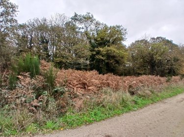 Terrains de loisirs bois etangs a vendre Allaire 56350 Morbihan 7515 m2  9600 euros