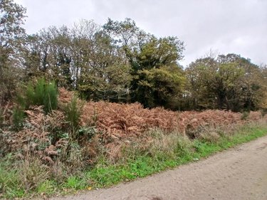Terrains de loisirs bois etangs a vendre Allaire 56350 Morbihan 7515 m2  7500 euros