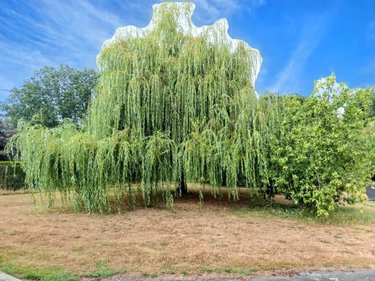Maison a vendre Pontivy 56300 Morbihan 111 m2 5 pièces 284140 euros